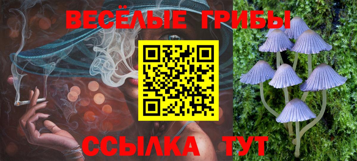 Галлюциногенные грибы прущие грибы  Вход с VPN  Сунжа 